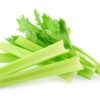 Celery 1 bunch