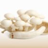 Enoki mushroom 100g