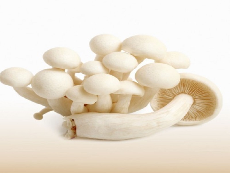 Enoki mushroom 100g