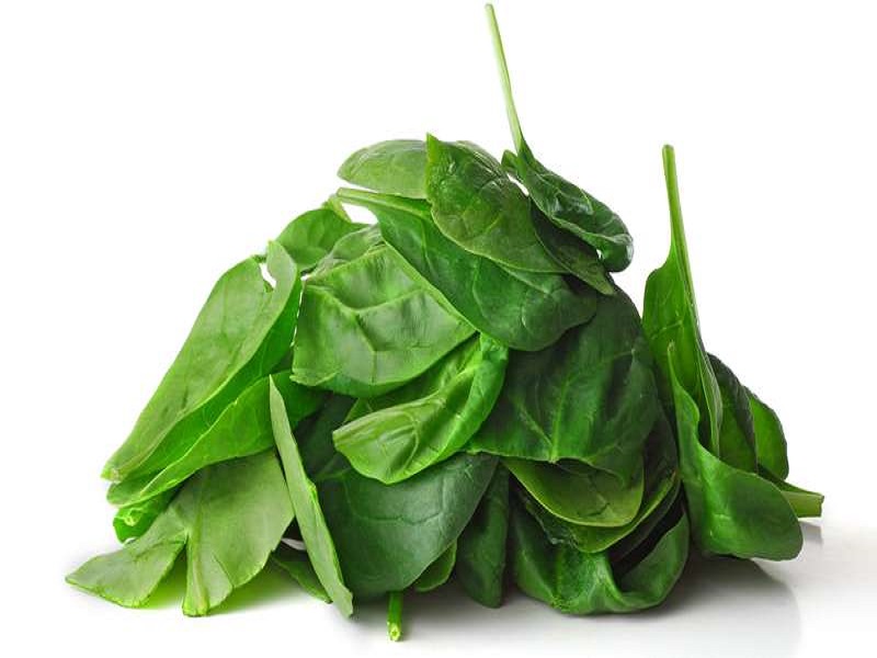 Fresh Spinach