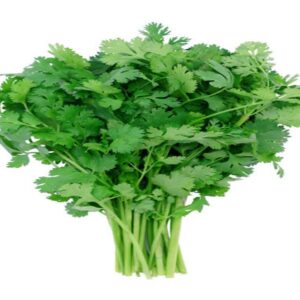 Fresh coriander (Bunch)