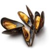 Fresh Mussels 1kg