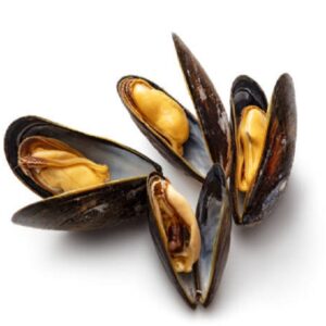 Fresh Mussels 1kg