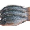 Frozen Tilapia (pack of 3)