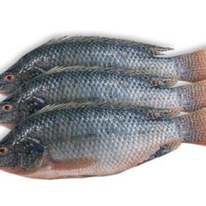 Frozen Tilapia (pack of 3)