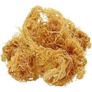 ESME’S Organic Sea Moss - Sun-Dried 100g Wildcrafted Golden Sea moss Superfood Supplement