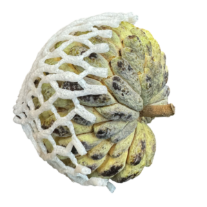 Sugar apple (Sweetsops) 
400g
Single