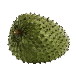 SOURSOP