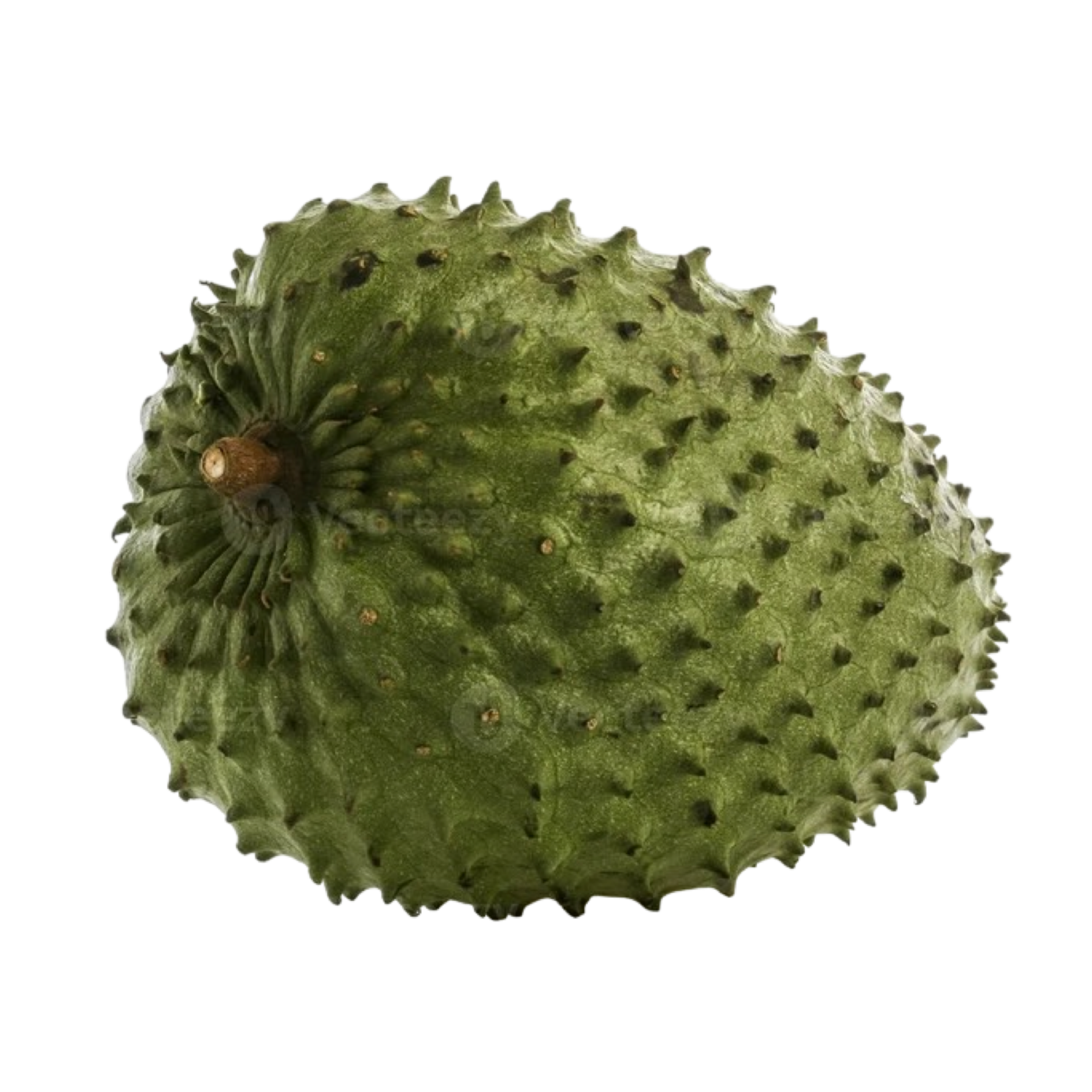 SOURSOP