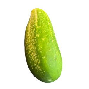 Jamaican cucumber 200g