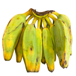 Alternative view of Bluggoe Bananas 1kg