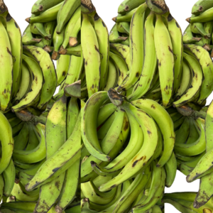 Green plantain Apem
Origin : Ghana