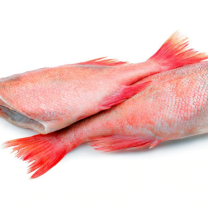 Red Bream frozen