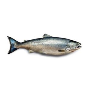 Salmon whole Fish 2.5kg