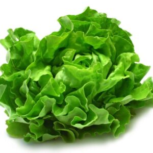 Sweet lettuce 1 pack