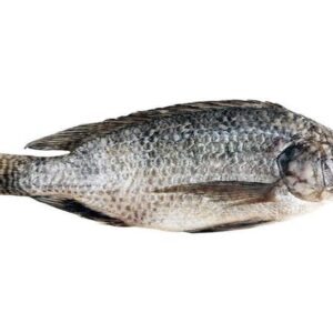 Fresh Tilapia 2700g